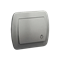 Taster „Licht“, 230 V, silbermetallic