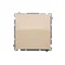 Taster „Licht“ mit LED-Hintergrundbeleuchtung 10AX 24V Schraubklemmen beige