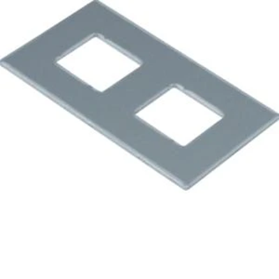 TEHALIT.GB-EG Mounting plate GTVD2/300 2xRJ45 17.2x18.3 aluminum