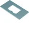 TEHALIT.GB-EG Mounting plate GTVD2/300 2xRJ45 U02097 aluminum