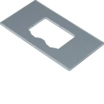 TEHALIT.GB-EG Mounting plate GTVD2/300 2xRJ45 U02097 aluminum