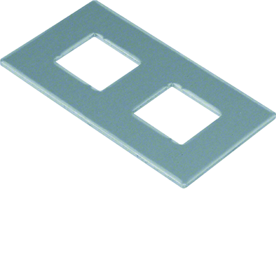 TEHALIT.GB-EG Piastra di montaggio GTVD2/300 2xRJ45 17,2x18,3 alluminio
