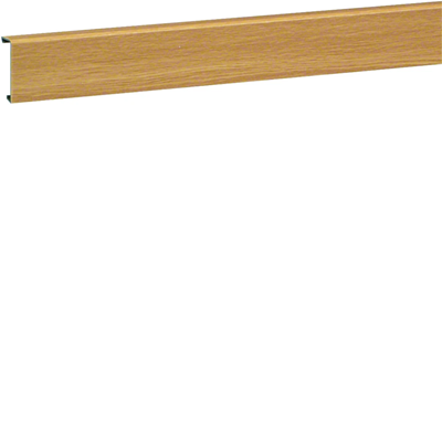 TEHALIT.SL Abdeckung 20x55 Eiche
