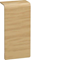 TEHALIT.SL Connector 20x80 oak