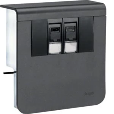 TEHALIT.SL Device carrier 20x80 2xRJ45 category 6 black