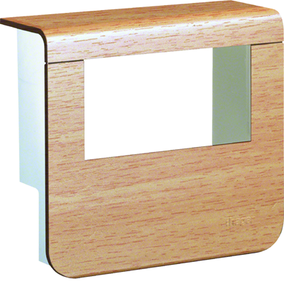 TEHALIT.SL Device carrier cover 20x55 2x 45x45 beech