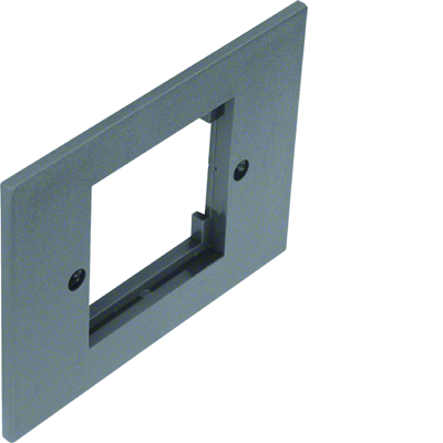 TEHALIT.VE-EE Face plate 1x50 for GBZ gray steel PA