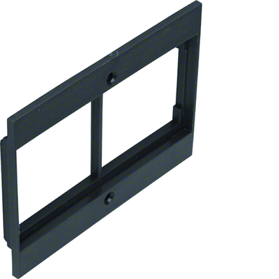 TEHALIT.VE-EE Face plate 2x50 for GBZ black PA