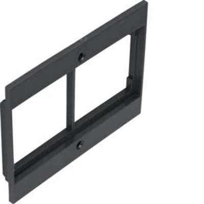 TEHALIT.VE-EE Face plate 2x50 for GBZ black PA