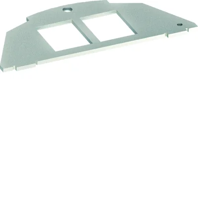 tehalit.VE-EE Mounting plate 2xRJ Type 01 Keystone 19.3x14.8