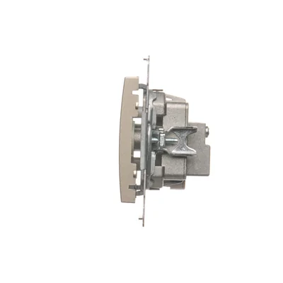 Terminal R-TV-Antennenbuchse getrennt (Modul), Gold (Metallic)