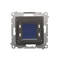 Thermostat numérique avec capteur de température interne (module), bronze mat (métallique)
