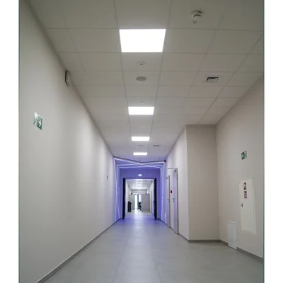 Tira de LED Performance LS PFM-1000/RGBW/840/5