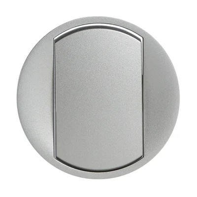 Titanium color swinging key