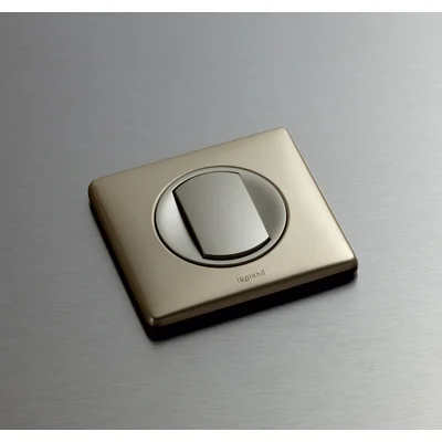 Titanium color swinging key
