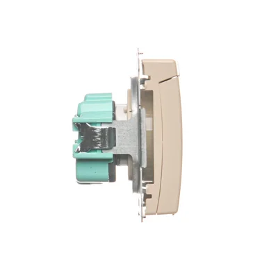 Toma de corriente con conexión a tierra (módulo), con interruptores de paso de corriente, resistente a salpicaduras IP44, 16 A, 250 V, terminales de tornillo, beige