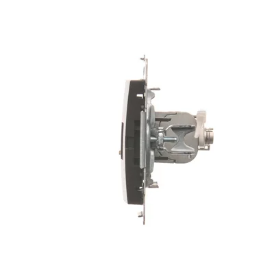 Toma de ordenador individual RJ45 categoría 6, apantallada, con cubierta antipolvo (módulo), marrón mate, metálico