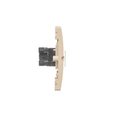 Toma de ordenador RJ45 única, categoría 5e (módulo) beige