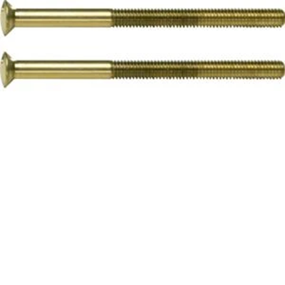 Tornillo BERKER TS con dos agujeros M3.5 x 50mm dorado