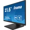 Touchscreen monitor iiyama ProLite T2252MSC-B2 22'' FULL HD LED IPS /HDMI, DP/ Speakers