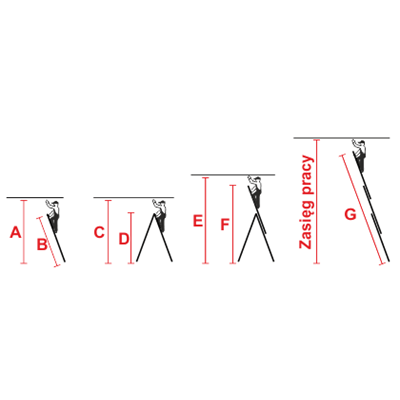 TRIBILO Multifunctional ladder 3x12 rungs