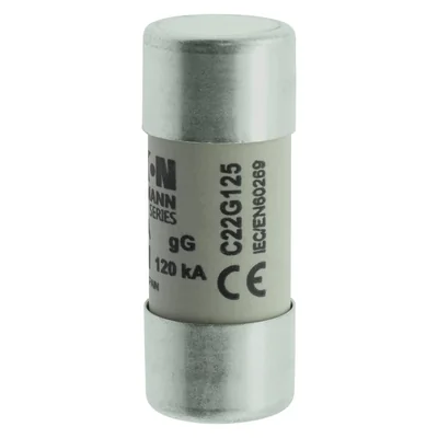 Циліндрична вставка C22G125 22 x 58 мм 125A GG 400V AC