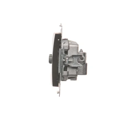 TV-DATA socket two output ports type "F" (module) brown matt metallic