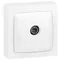 TV socket white