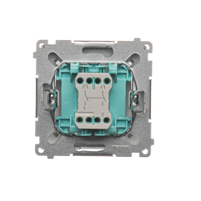 Two-pole switch (module) 230V, metallic stainless steel