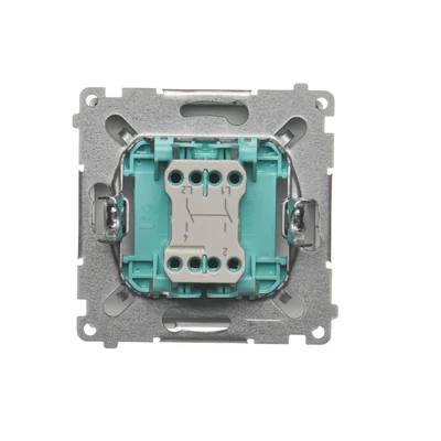 Two-pole switch (module) 230V, metallic stainless steel