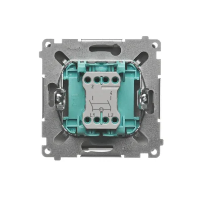 Two-pole switch with backlight (module) 230V, metallic satin