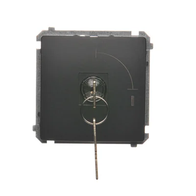 Unipolar 2-position key switch 5A 230V matt metallized graphite