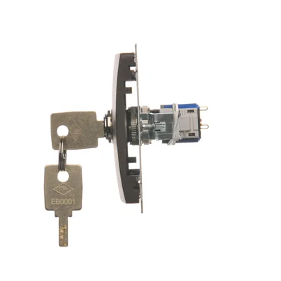 Unipolar key switch 2 positions 5A 230V chocolate matt metallized