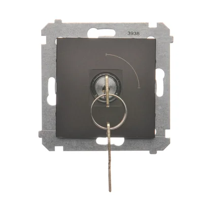 Unipolar key switch (module) 2-way N/O contact, 5 A, 250. , matt bronze metallic