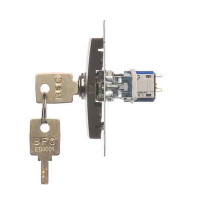 Unipolar key switch (module) 2-way N/O contact, 5 A, 250. , matt bronze metallic