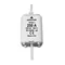 Universal-Sicherung WTNH gG 500V~ WTNH 1 224A