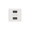 USB charger K45 2x USB 2.0 - A 5V DC 2.1A pure white