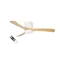 Ventilateur de plafond LED MÉTAL + BOIS 53 W 18 W + 35 W 1350 lm 25 m² CCT 43 dB