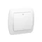 Вимикач двополюсний 10А, 250В, гвинтові клеми, білий