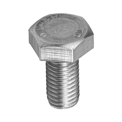 Vite a testa esagonale M10x30mm
