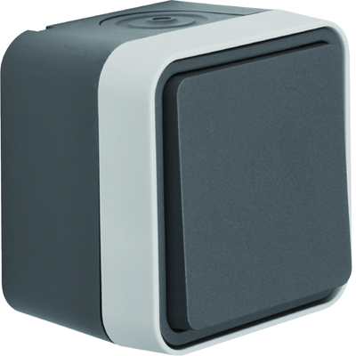 W.1 1-gang push-button switch, 1-pole IP55 grey