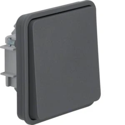 W.1 1-pole push-button switch IP55 grey