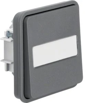 W.1 1-pole push-button switch with illuminated description field IP55 grey