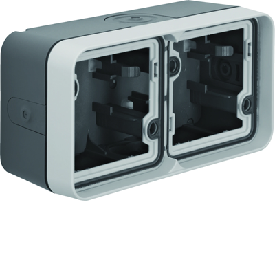 W.1 2-gang horizontal surface-mounted box 4 inputs IP55 grey