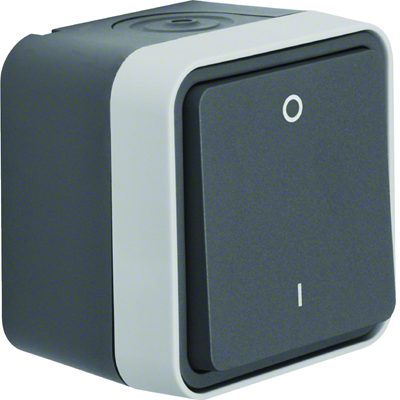 W.1 2-pole switch with "0/1" imprint complete IP55 grey