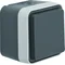 W.1 Base Schuko 2P+Z con cubrecontactos, completa IP55, gris