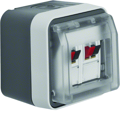W.1 Double loudspeaker socket with cover complete IP55 grey