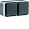 W.1 Earthed socket 2P+E complete 2-fold horizontal 4 inputs IP55 gray