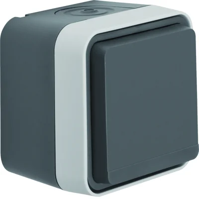 W.1 Earthed socket 2P+E complete IP55 grey