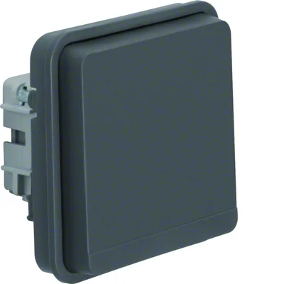 W.1 Earthed socket 2P+Z IP55 grey